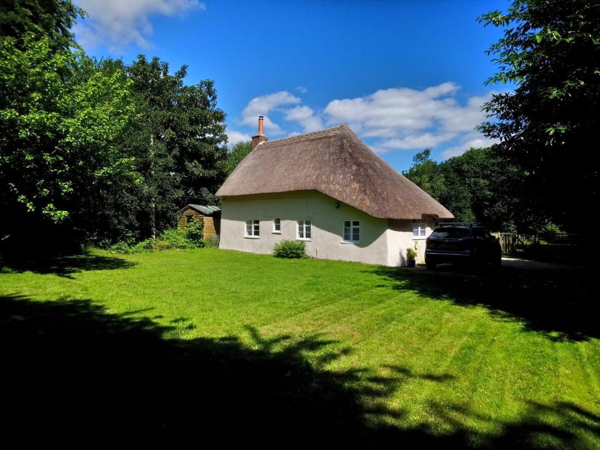 Honeysuckle Cottage دورتشستر المظهر الخارجي الصورة