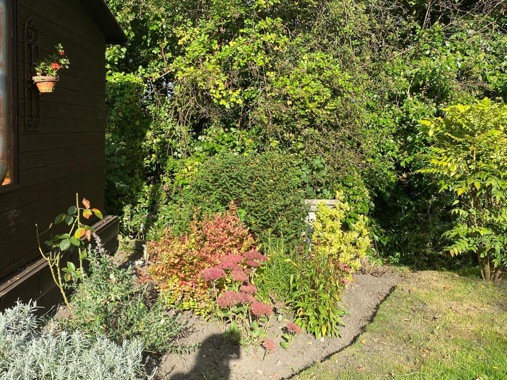 Honeysuckle Cottage دورتشستر المظهر الخارجي الصورة